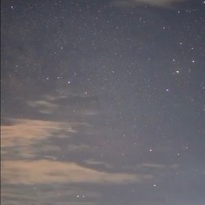 Meet your Posher, Lucy